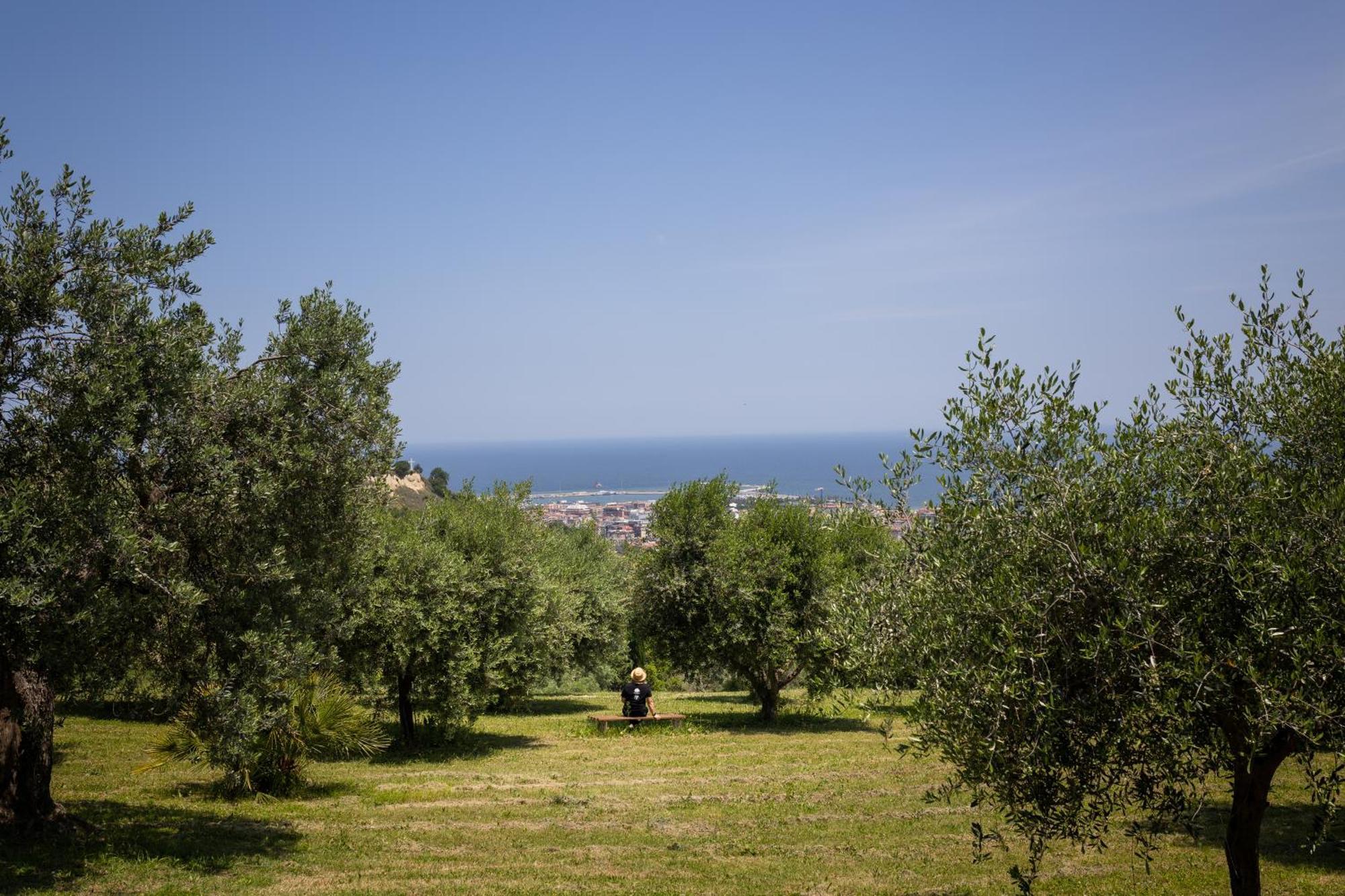 Villa Cri Cri B&B Di Charme San Benedetto del Tronto Exterior photo